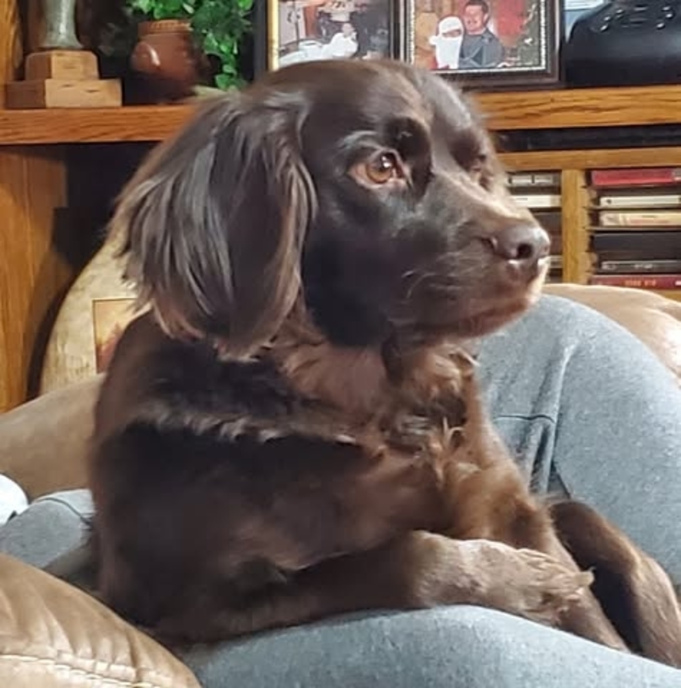 Meet your Posher, Heidi
